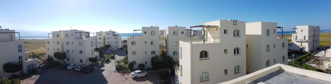 Aphrodite Beachfront Penthouse Apartment Gaziveren Dış mekan fotoğraf